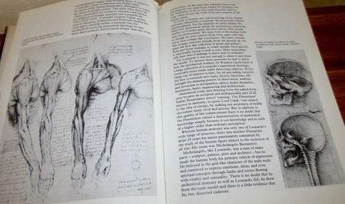 ANATOMÍA HUMANA para el ARTISTA ~ John RAYNES. BCA Edn 1979 primer HbDj aquí en MELB - Imagen 8 de 12