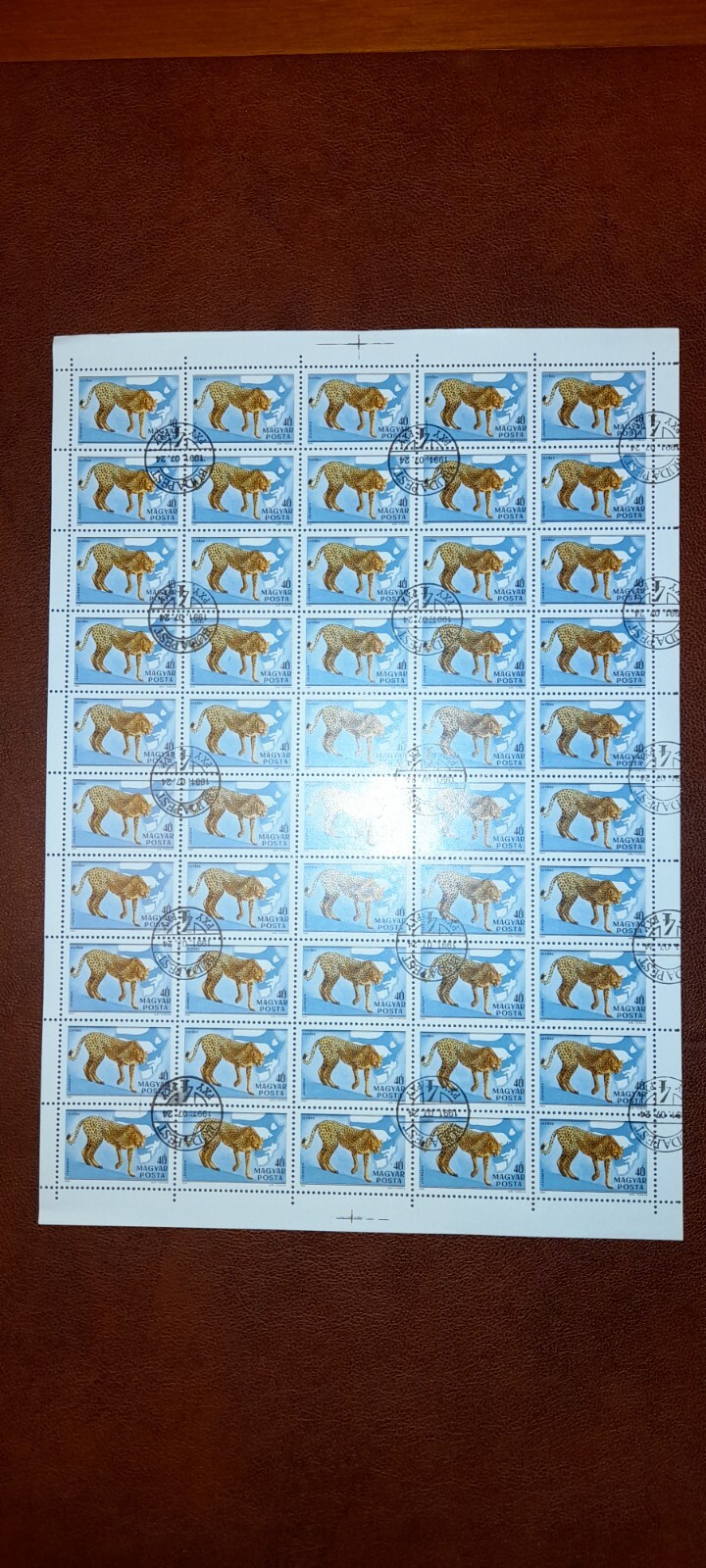 Foto 16 di 24