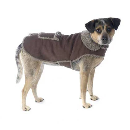 Casacos de Cachorro PetRageous Designs Marrom/jaquetas