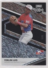 2020 Panini Elite Extra Edition Prime Numbers C 5/8 Yerlin Luis #191 0s3