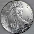 2025-P - American Silver Eagle - BU - Eagle Privy