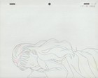 The Twelve Kingdoms Juuni Kokki Genga Douga Original Sketches Pierrot - Youku — photo 4