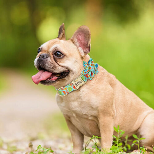 Flower Personalised Nylon Dog Collar with Engraved Buckle Adjustable Pet Collars - Picture 14 of 27