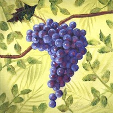 Ceramic Backsplash Tile Mural Fruit Kitchen/Bathroom - Sunshine Grapes III