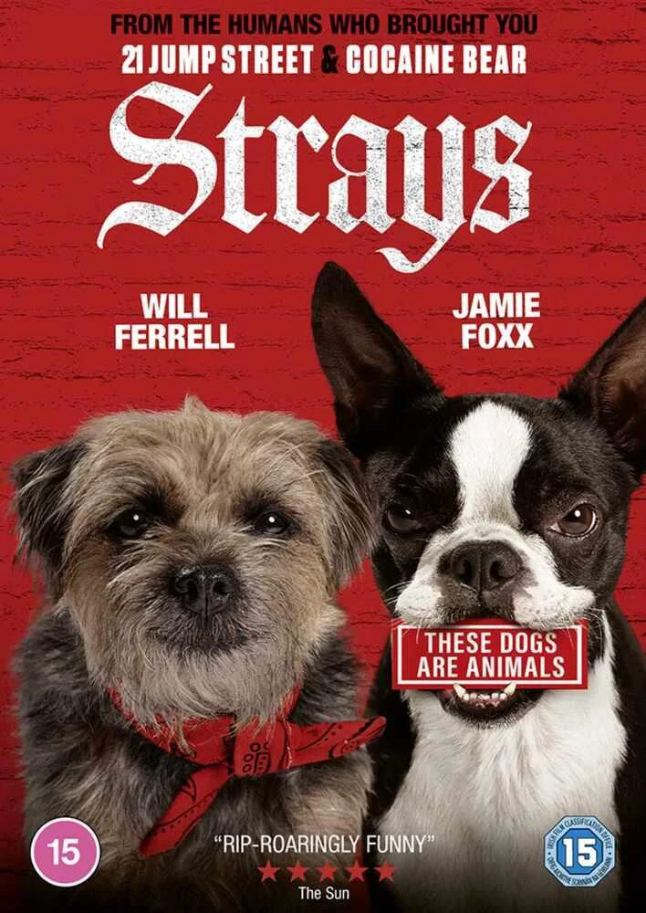 Strays Universal Pictures - Image 4