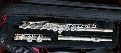 Stagg 77-FE mit Hartschalenkoffer N.K0695J Schülerflöte