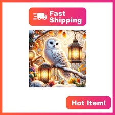 GDYEEH Cute Owl 5D Diamond Art Kit GD487 12x12 Inch