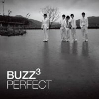 Perfect by Buzz (CD, 2011) KPOP K-Pop