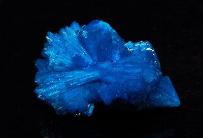 Cluster of bows of dark blue Cavansite  (non precious natural stone) # 2226