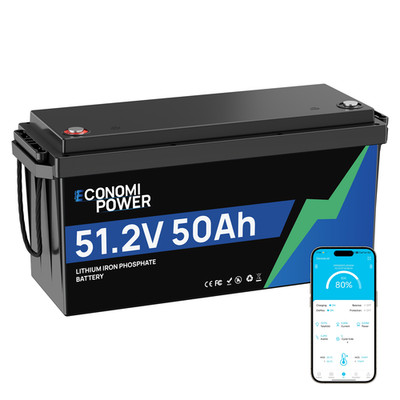 48V 50Ah LiFePO4 Batterie mit Bluetooth BMS für Solar Wohnmobil Marine Off-Grid