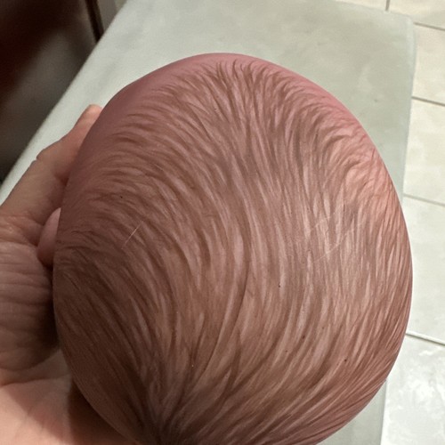 Charlotte Meadows 20” 7 Pound Cuddle Baby - Imagen 5 de 14
