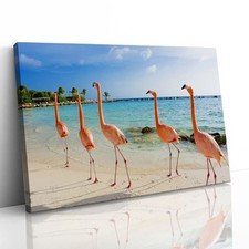 Flamingoes on Aruba Beach Canvas Framed Print Picture Wall Art