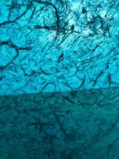 Batik Leaf Paper, Turquoise Leaf Luxury Hand Painted Paper, Handmade Notebook