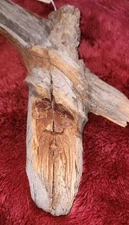 The Brass Tree Hand Crafted by Lyle Carved Old Man Face in Branch Country Wall