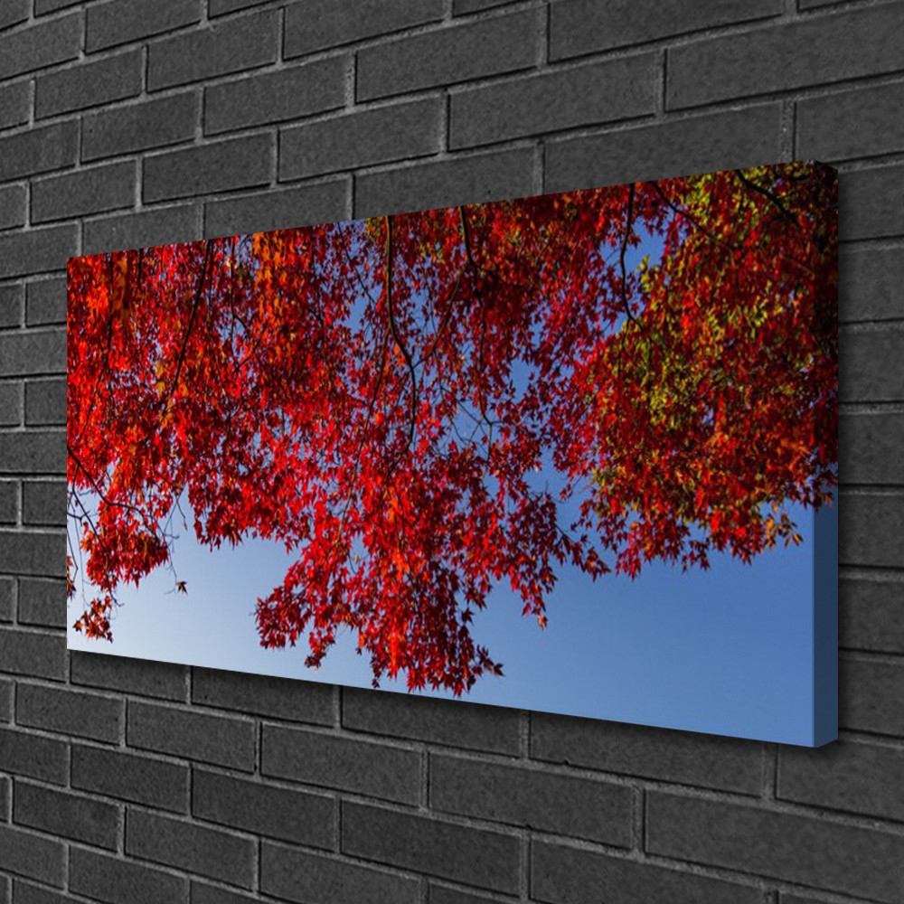 Tableau moderne sur toile de qualité premium motif branches de coton 100x50