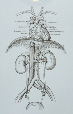 ORGANS-Leslie Arwin Human Anatomy Guts Heart Biology Life Science T shirt S-2XL