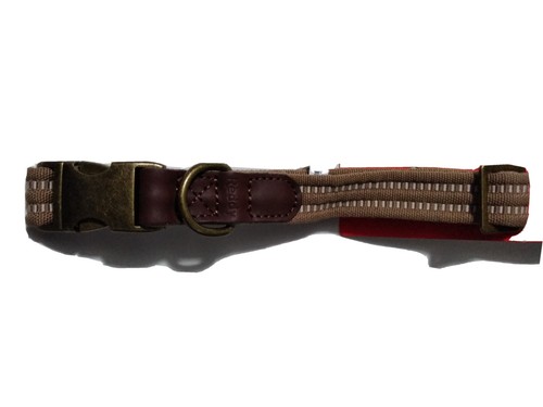 Reddy Beige Webbed Dog Collar, Medium, Tan - Picture 2 of 7