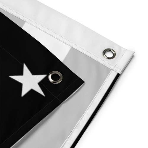 Destroy Lonely Flag - Opium American Flag Limited Edition By Filthy Prints - Picture 8 of 10