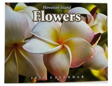 Islander Hawaii Hawaiian 2025 Twelve Month Calendar Choose 