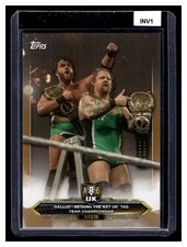 Gallus Retains the NXT UK Tag Team - 2020 Topps WWE NXT - Bronze