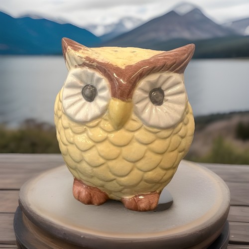 Custom Handmade Owl Salt & Pepper Shakers, Hand-painted Ceramic by Local Artist - Picture 4 of 8