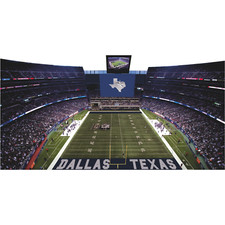 H13709 Dallas Texas Football Stadium Lone Star State Field Cardboard Cutout Stan