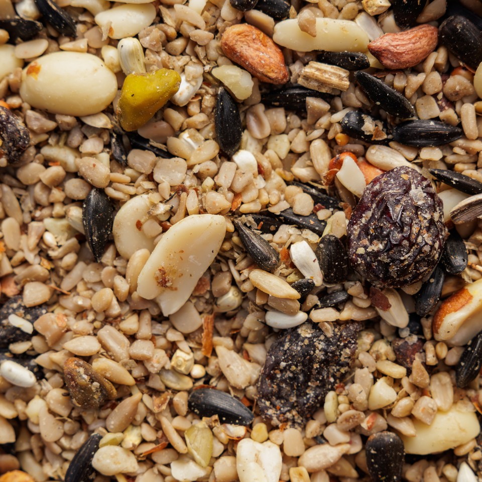 Pennington Ultra Double Nut & Fruit Blend, Wild Bird Seed and Feed, 10