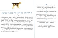 Wirehaired Griffon - CUSTOM MATTED Dog Art Print - Breed Description and History