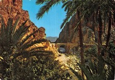 ALGERIA BISKRA LES GORGES