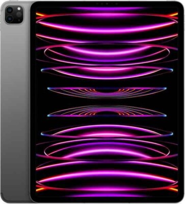 Apple iPad Pro 12.9 (2022) 256GB WiFi spacegrau