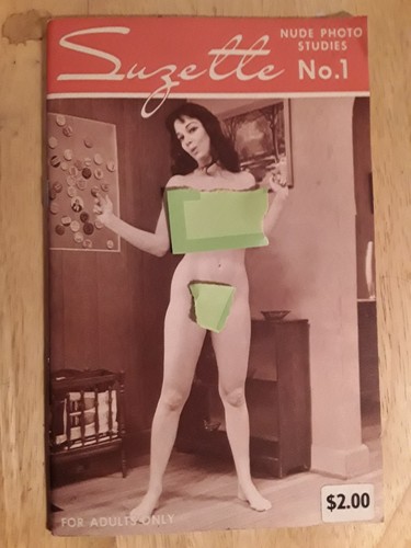 SUZETTE NUDE PHOTO STUDIES 1 - 4, 1960s Eurotica - Afbeelding 1 van 4