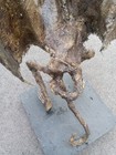 Foy’s Halloween of Fairborn~5’ tall Professionally made Winged Demon (bent leg) — photo 3