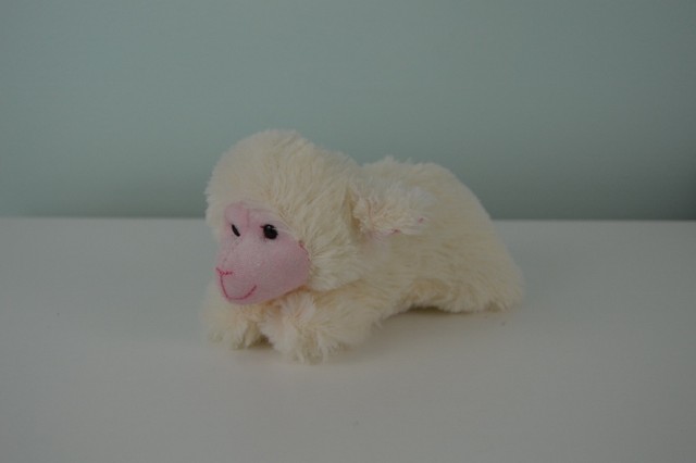 hugfun sheep