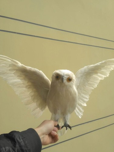 big simulation white owl model polyethylene&furs wings owl doll gift 60x32cm - Picture 4 of 8