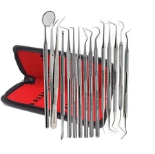 Basic Dental Hygiene Kit - -Stainless Steel Dental Instruments GERMAN