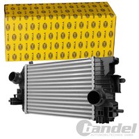 Hella LadeluftkÜHler TurbokÜHler Passend FüR Opel Meriva | 8ML 366 340-471