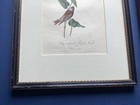 Picture 5 of 16