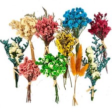 10Pcs Mini Dried Flowers Bouquet Mixed Natural Dried Flowers Gypsophila Bouqu...