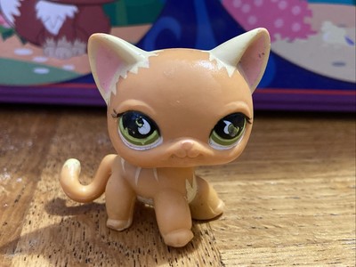 Littlest Pet Shop LPS #525 790 - Chat Européen Hasbro Original - Occasion