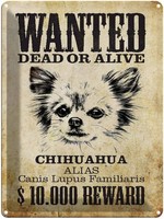 Blechschild 40X30 Cm Hund Wanted Chihuahua Alias Deko Geschenk Metall Schild