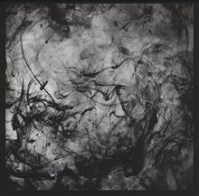 See the Enemy von Black Lung | CD | Zustand sehr gut