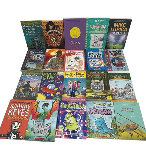 Lot of 20 Chapter Paperback Children Young YOUTH RANDOM UNSORTED Chapter Books
