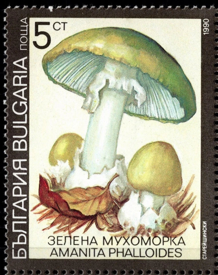 BULGARIA 1991 FECHA 1990 SETAS JUEGO DE SEIS SELLOS CON PESTAÑAS SCOTT 3597-3602 MNH Foto 2 de 4