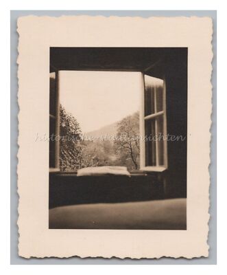 View Out The Window Into Spring 1941 - Vintage Photo 1940s