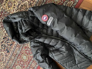 padded softshell jacket