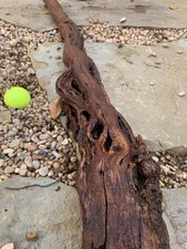 Natural sinking driftwood for aquarium/terrarium/arts and crafts