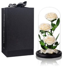 White Roses Handmade Preserved Rose in Glass Dome, Preserved Flowers Never Wi...
