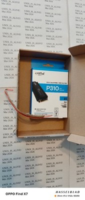 Crucial P310 2TB PCIe Gen4 NVMe M.2 SSD mit Heatsink VERSIEGELT Neu & OVP GN2028