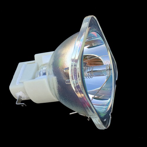 Replace Projector Lamp For BenQ 5J 