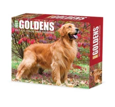 Goldens 2023 Box Calendar - Calendar By Willow Creek Press - GOOD